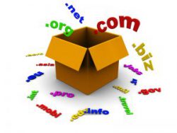 Cấu tạo của Domain name/ Tên miền